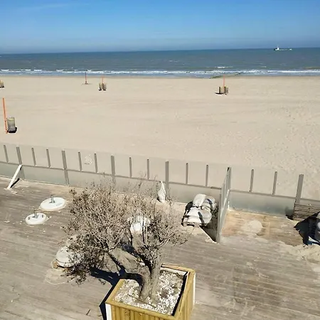 In With Sea View شقة *