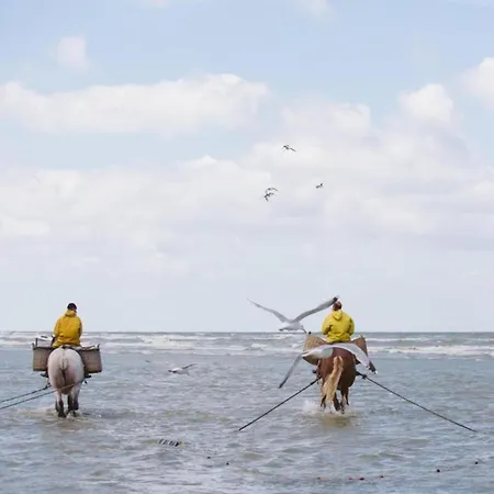 Διαμέρισμα In With Sea View *