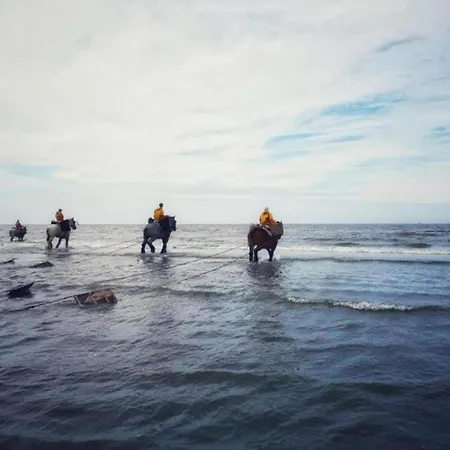 شقة In With Sea View *