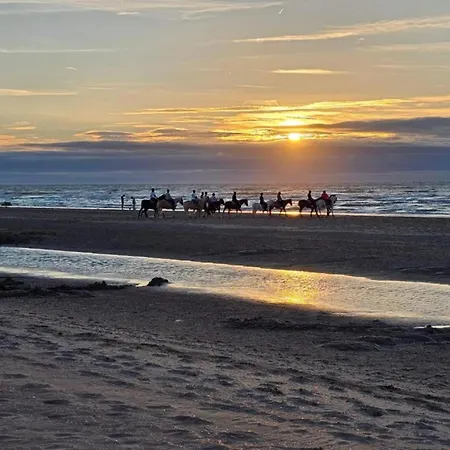 In With Sea View Oostduinkerke