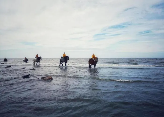 Appartamento In With Sea View *